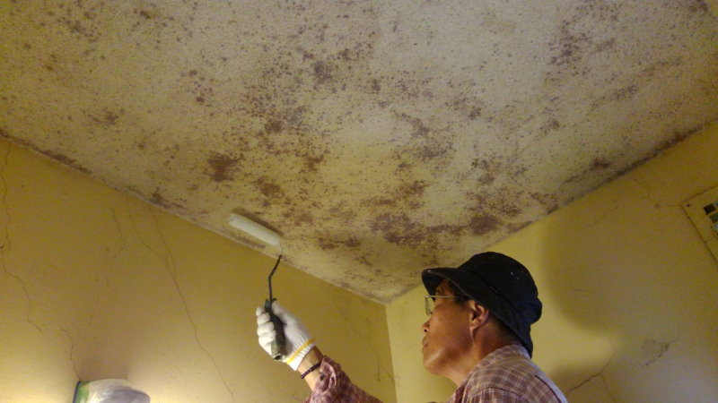 南大隅町 町営住宅 お風呂の壁面塗装 カビ除去剤を塗っています